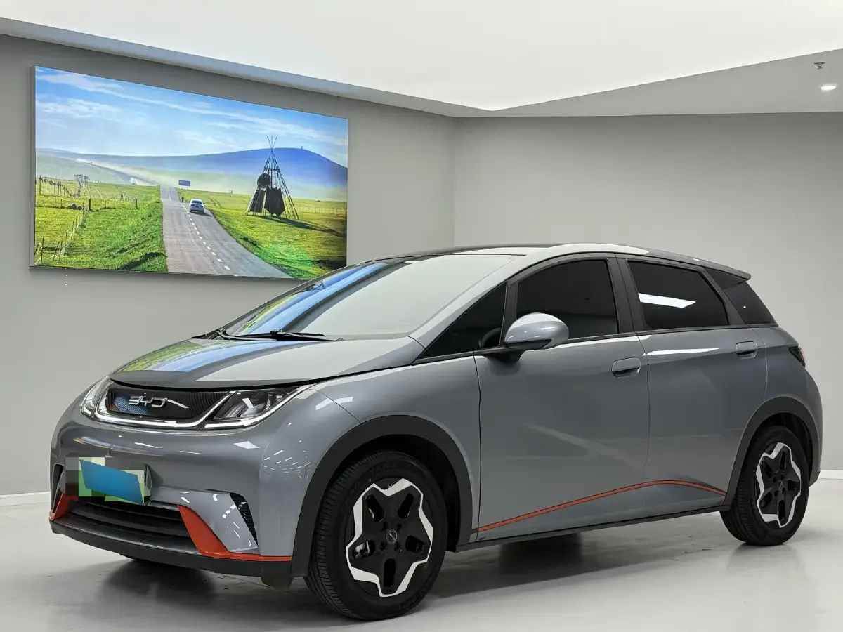 2021 BYD Dolphin BEV 44.9KWH