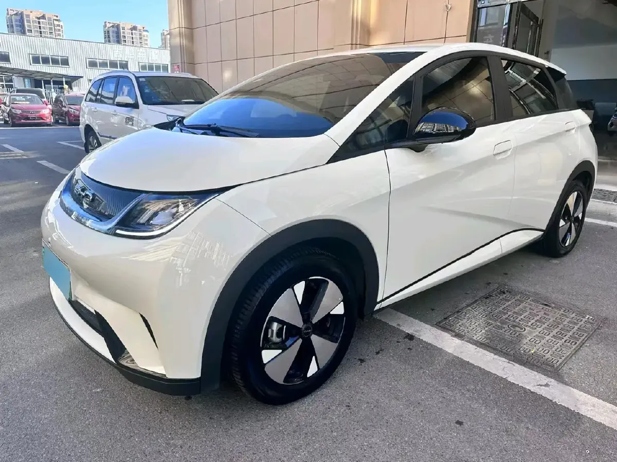 2023 BYD Dolphin BEV 44.928KWH