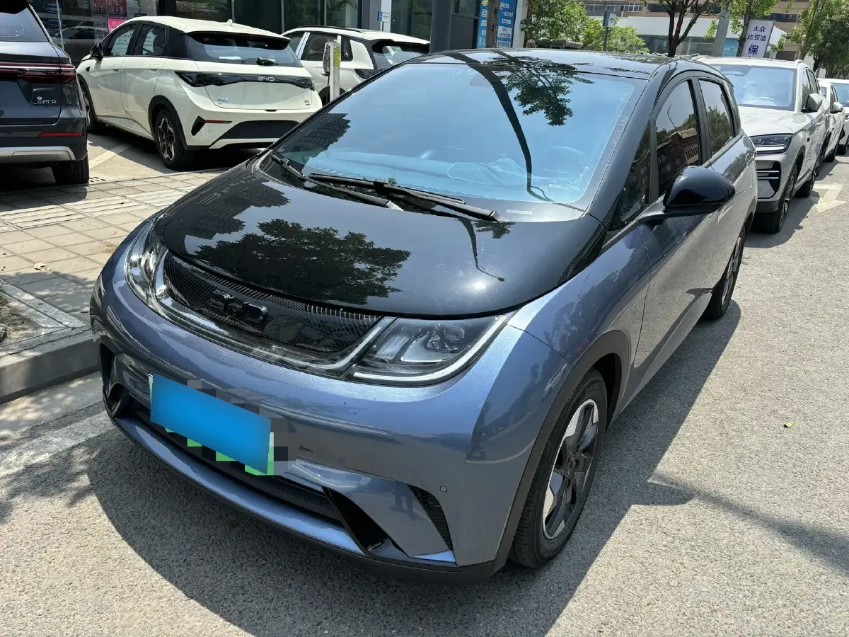 2024 BYD Dolphin BEV 44.928KWH