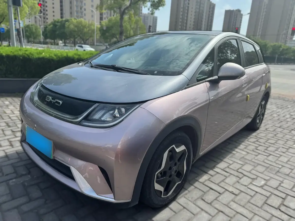2021 BYD Dolphin BEV 44.9KWH