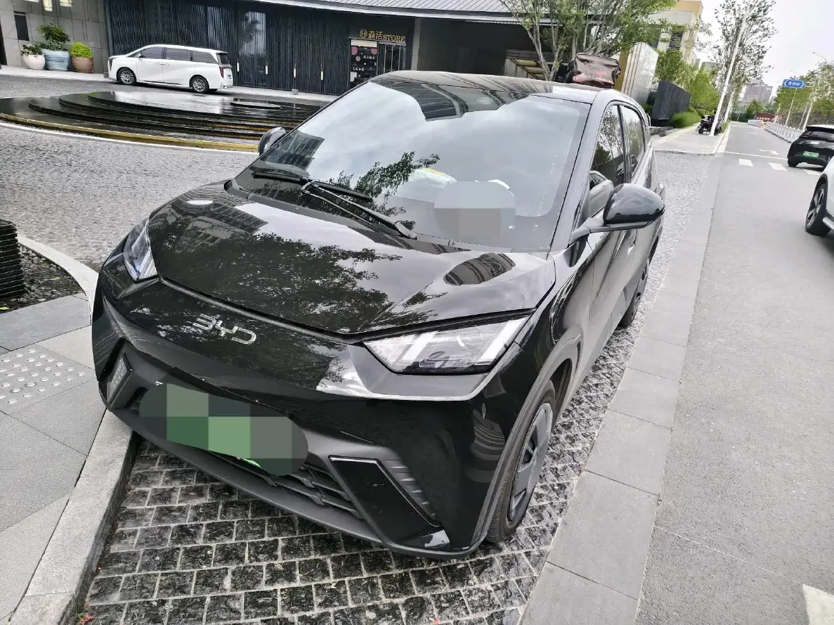 2025 BYD Seagull BEV 30.08KWH