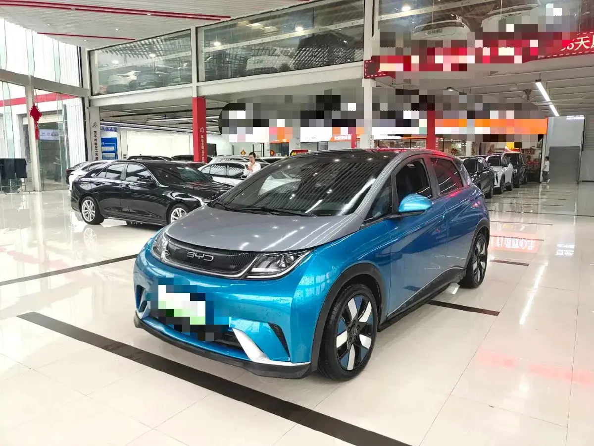 2021 BYD Dolphin BEV 44.9KWH