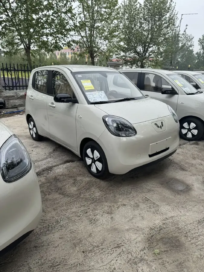 2025 WuLing HongGuang MINI EV BEV 16.2KWH,autocango,china used car exporter,china ev exporter,chinese used car exporter,chinese used ev exporter