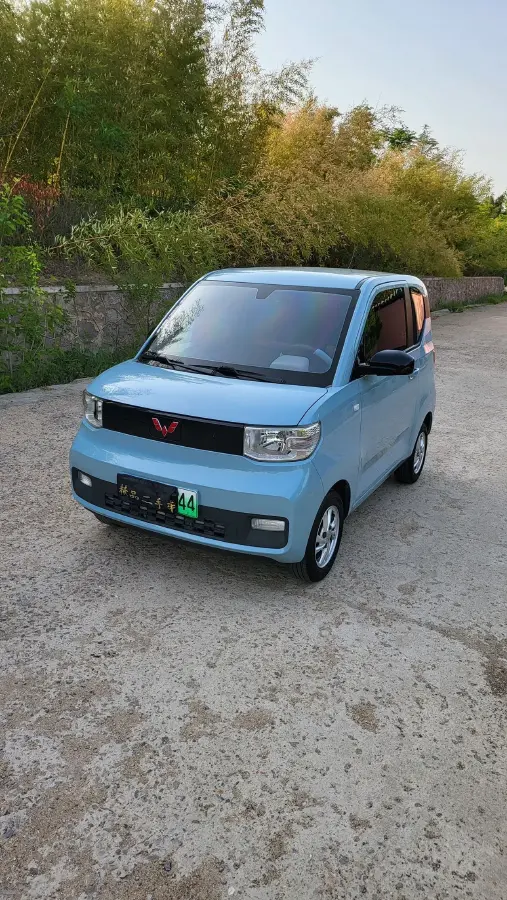 2020 WuLing HongGuang MINI EV BEV 9.3KWH