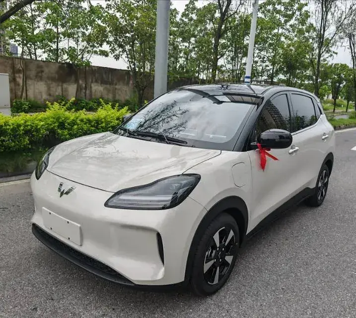 2024 WuLing BinGuoPLUS BEV 37.9KWH