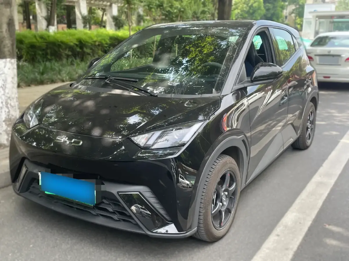 2024 BYD Seagull BEV 30.08KWH