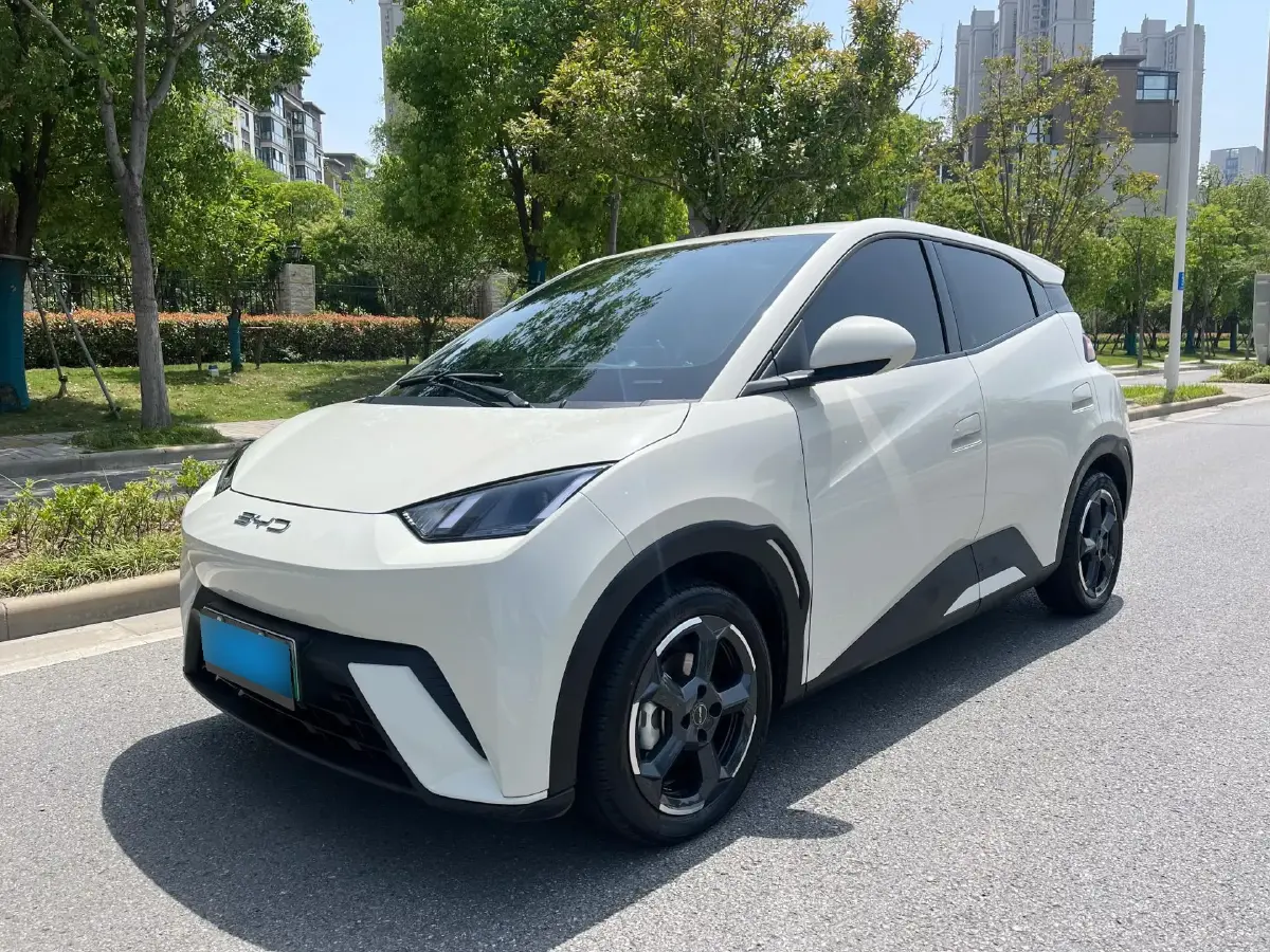 2024 BYD Seagull BEV 30.08KWH