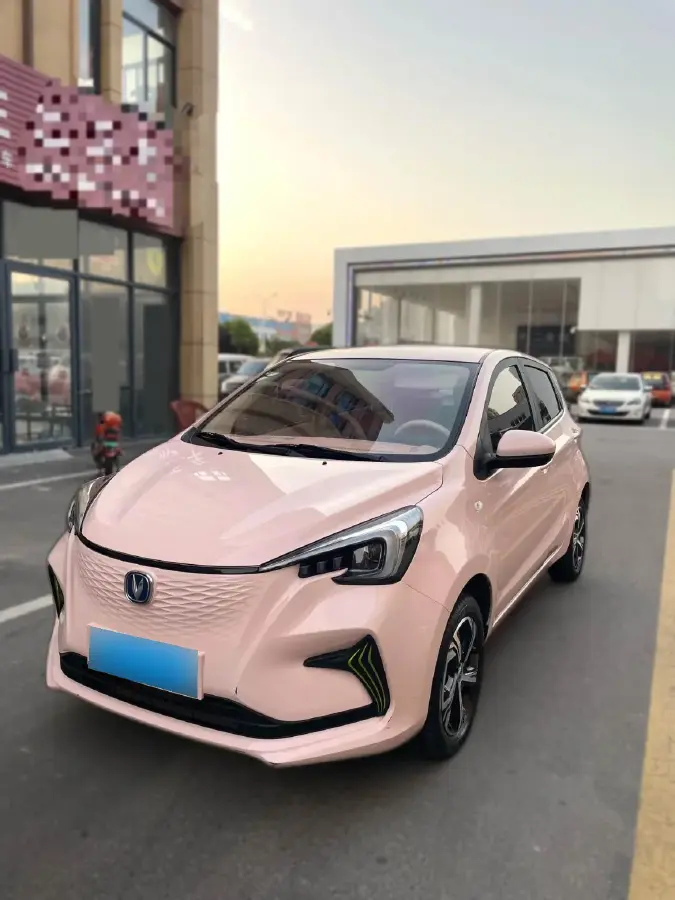 2023 ChangAn BenBen E-Star BEV 30.95KWH