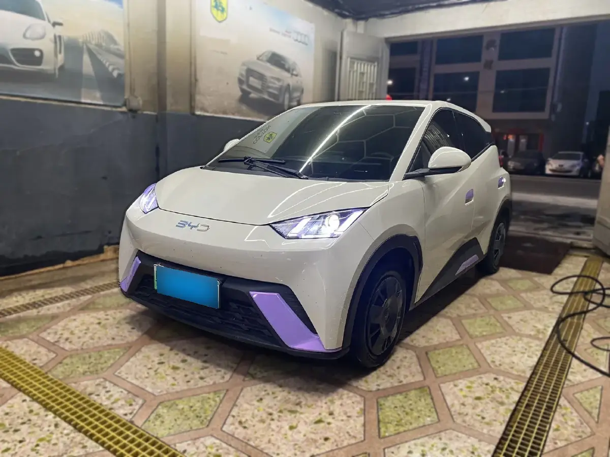 2024 BYD Seagull BEV 30.08KWH