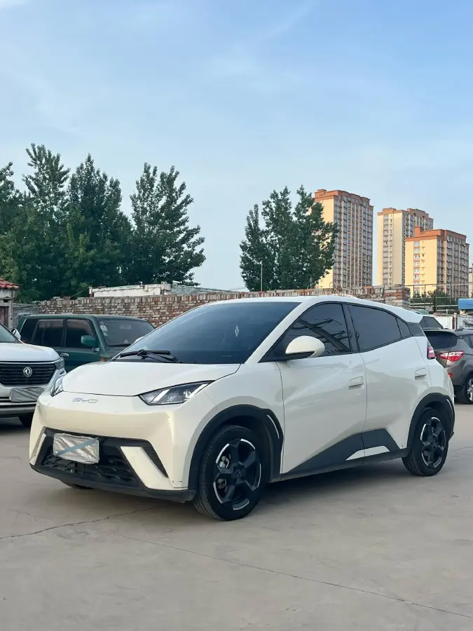2024 BYD Seagull BEV 30.08KWH