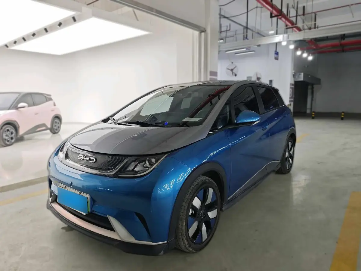 2021 BYD Dolphin BEV 44.9KWH