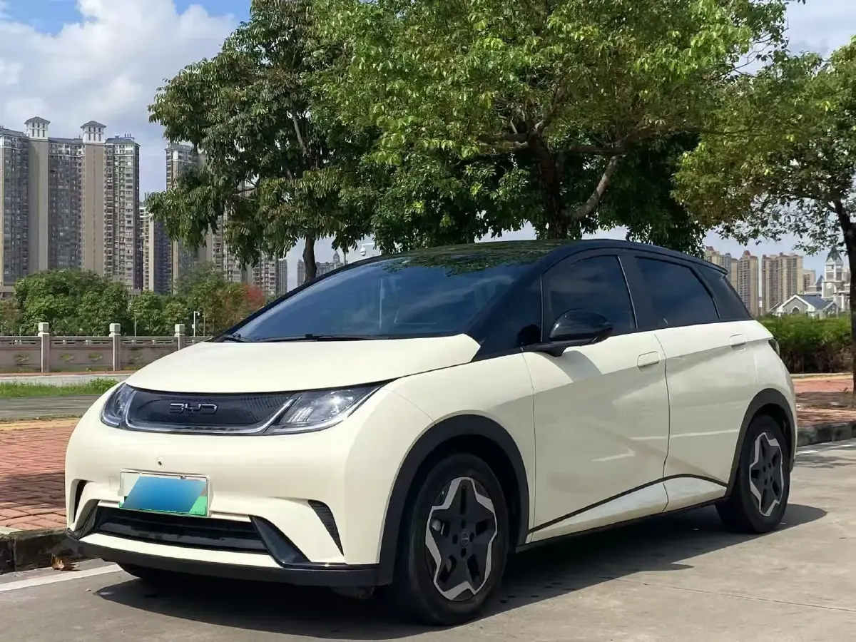 2021 BYD Dolphin BEV 44.9KWH