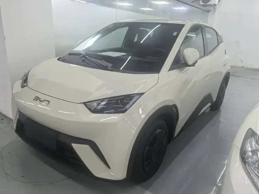 2025 BYD Seagull BEV 30.08KWH