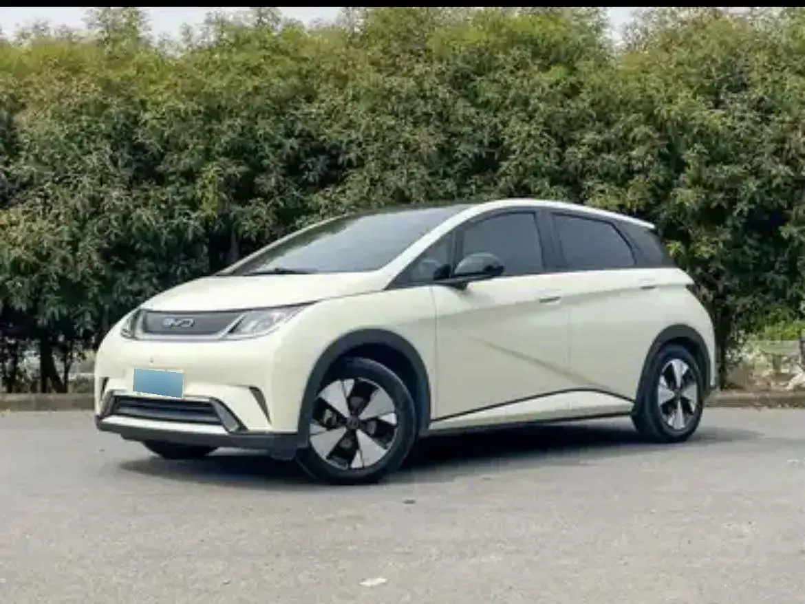 2023 BYD Dolphin BEV 44.928KWH