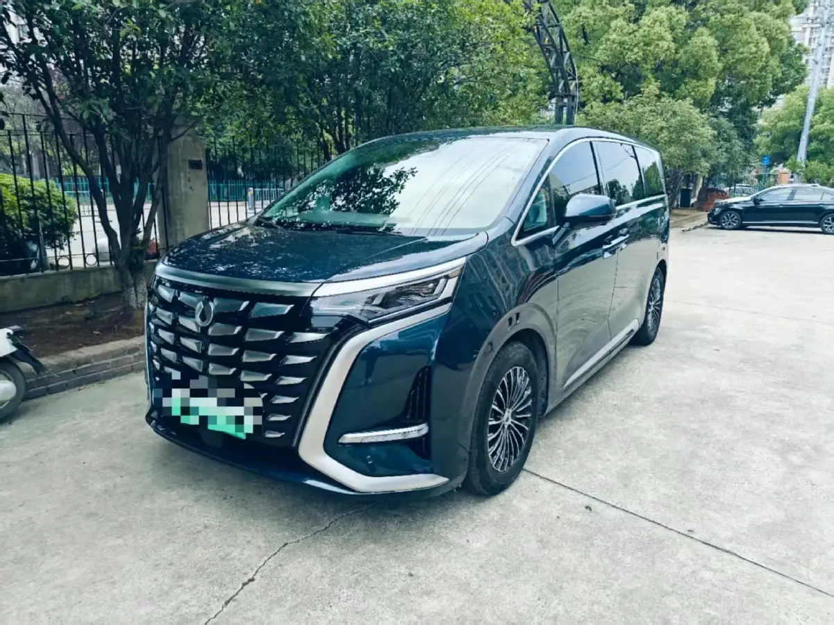 2022 Denza D9 1.5T 139HP L4 E-CVT PHEV 40.06KWH