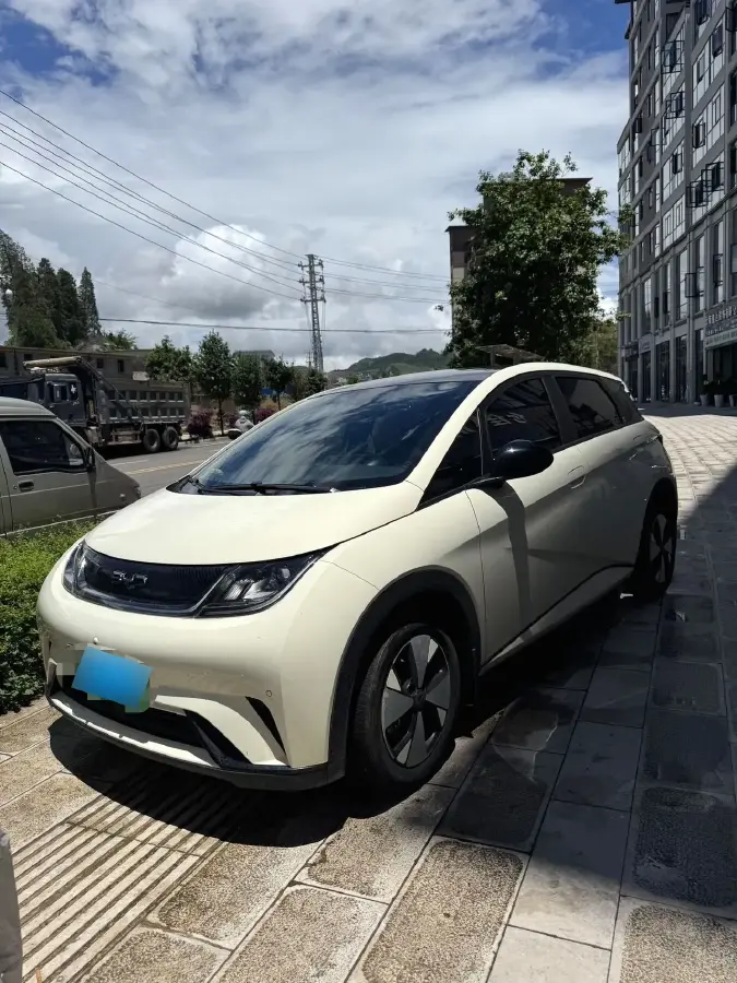2023 BYD Dolphin BEV 44.928KWH
