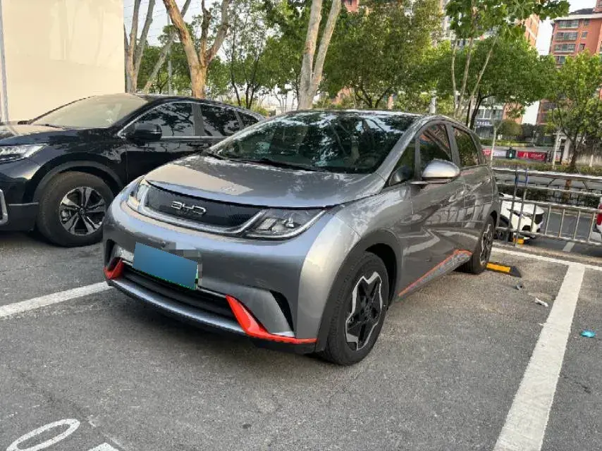 2021 BYD Dolphin BEV 44.9KWH