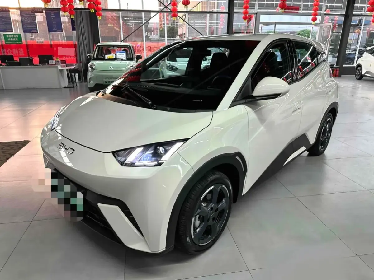 2024 BYD Seagull BEV 38.88KWH