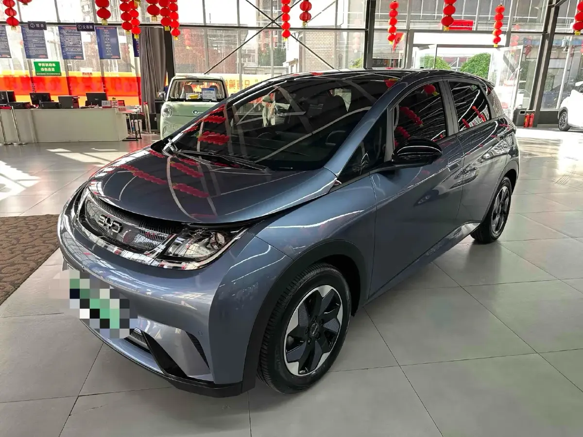 2024 BYD Dolphin BEV 44.928KWH