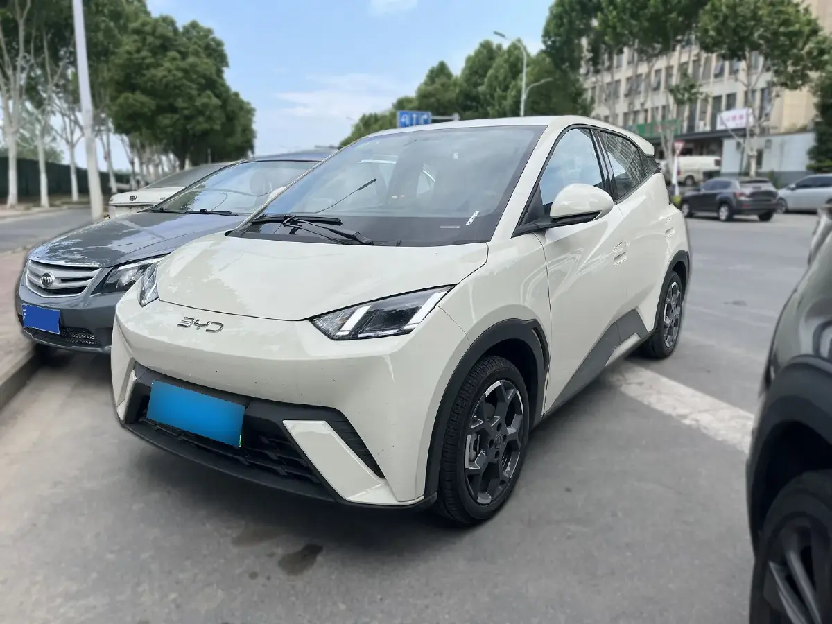 2025 BYD Seagull BEV 30.08KWH