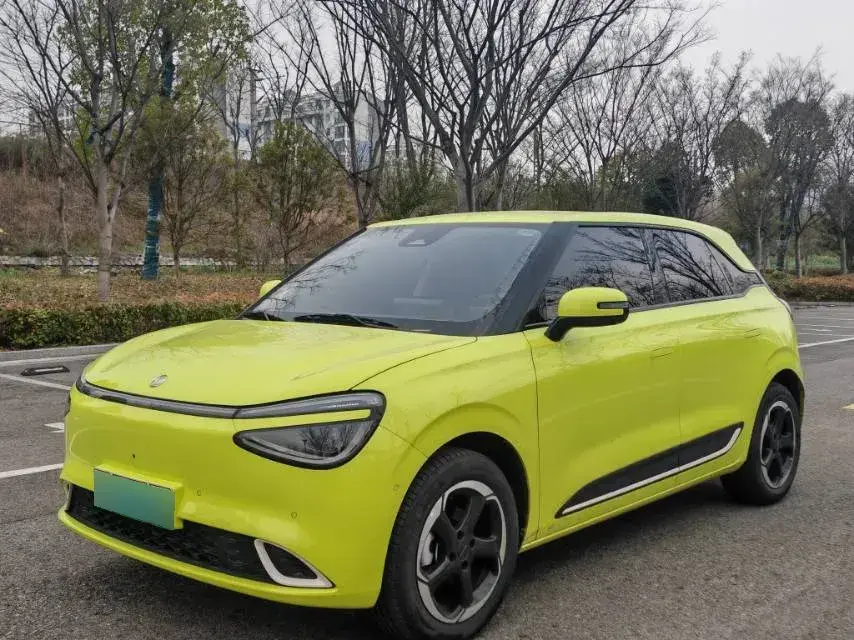 2024 DongFeng Nammi 01 BEV 42.3KWH