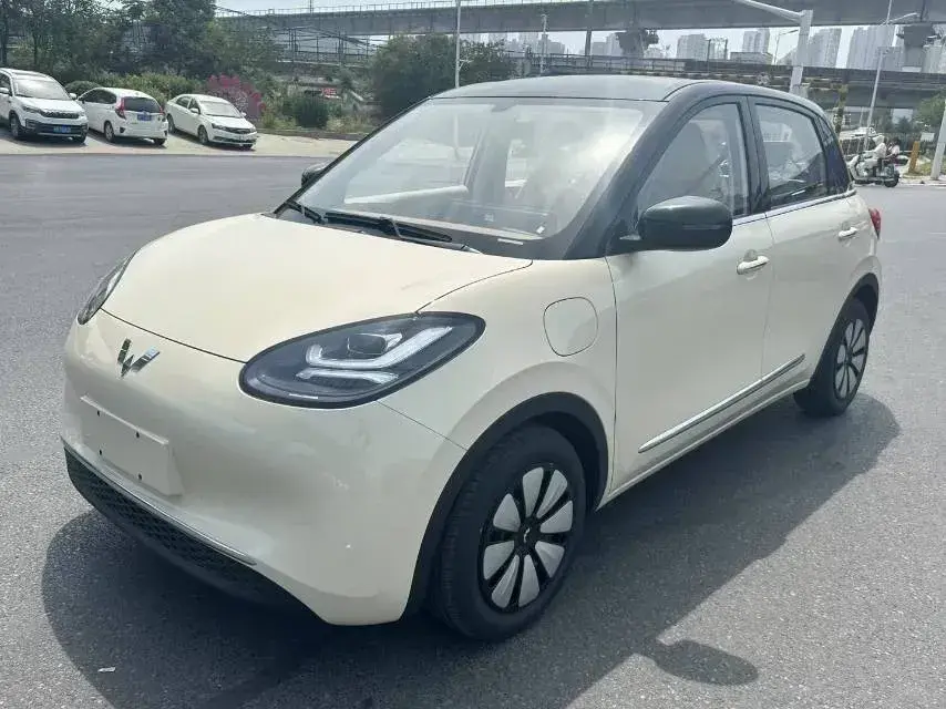 2025 WuLing BinGuo BEV