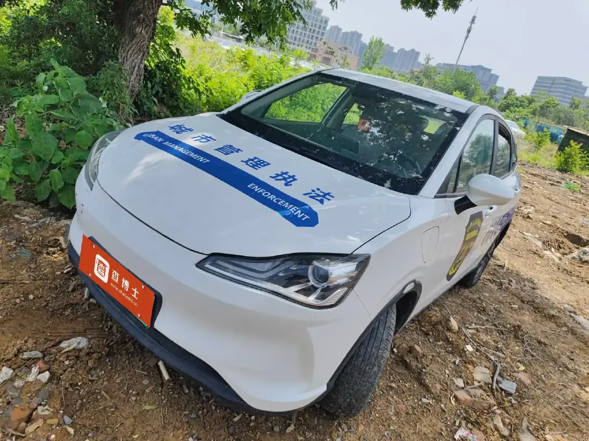 2021 Neta V BEV 31.18KWH