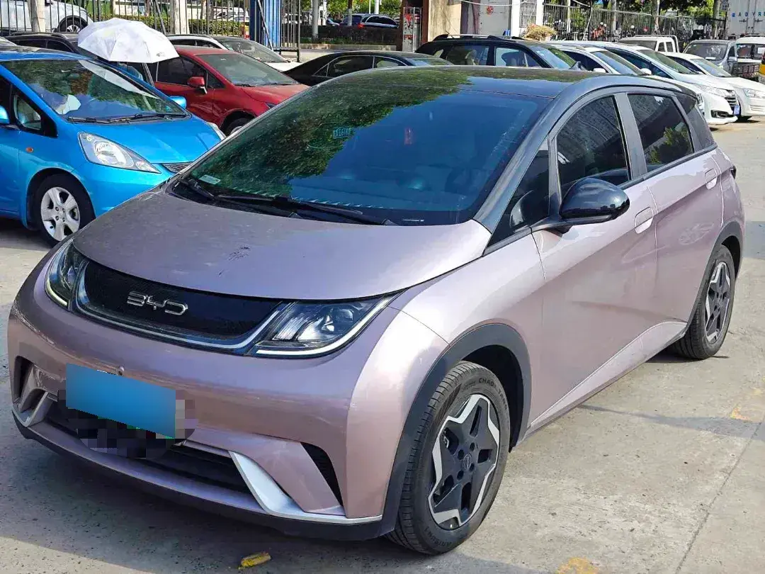 2021 BYD Dolphin BEV 44.9KWH