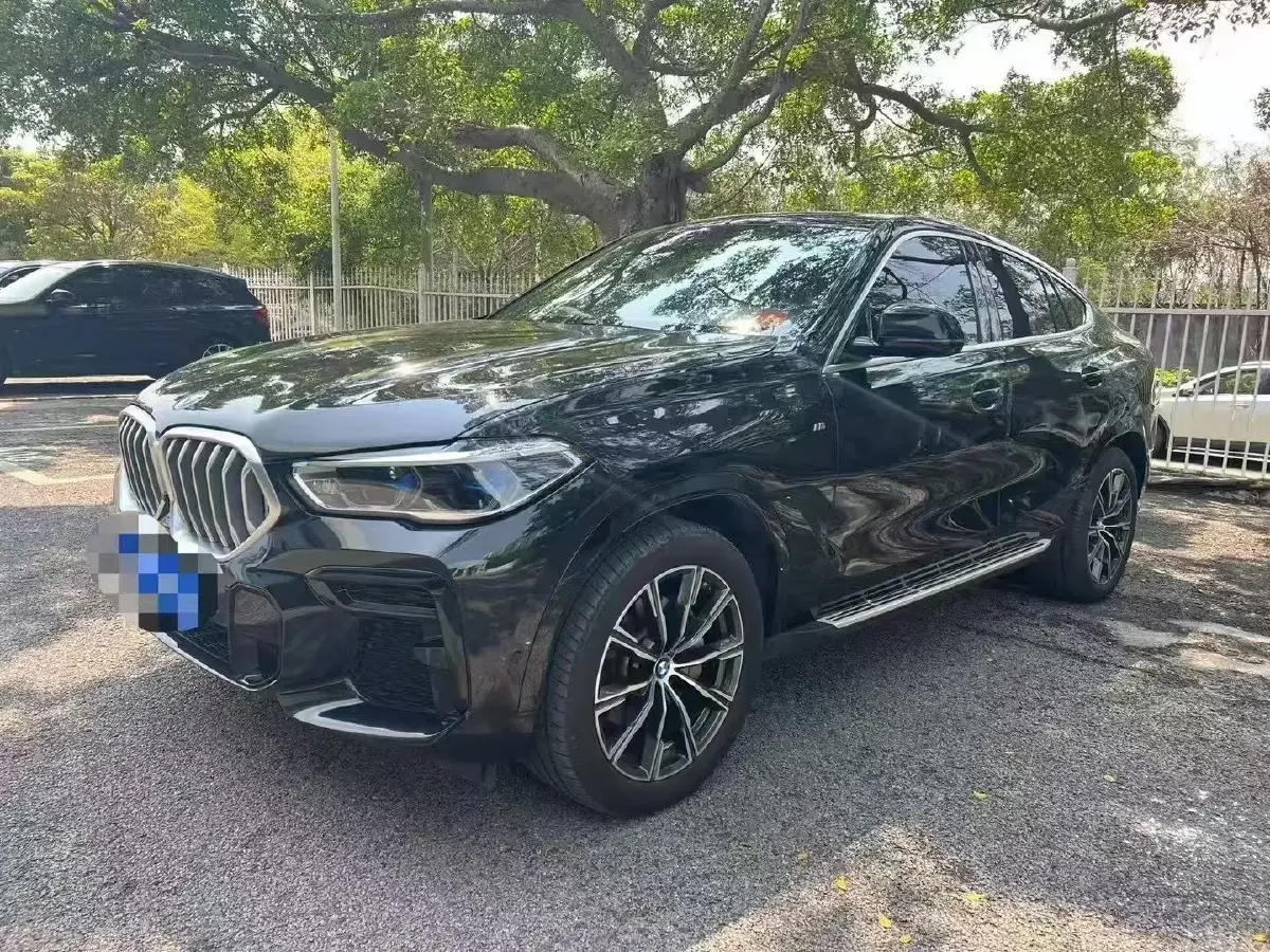 2022 BMW X6 3.0T 333HP L6 8AT
