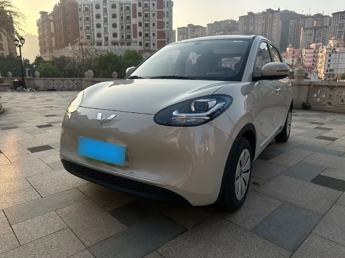 2024 WuLing BinGuo BEV 17.3KWH