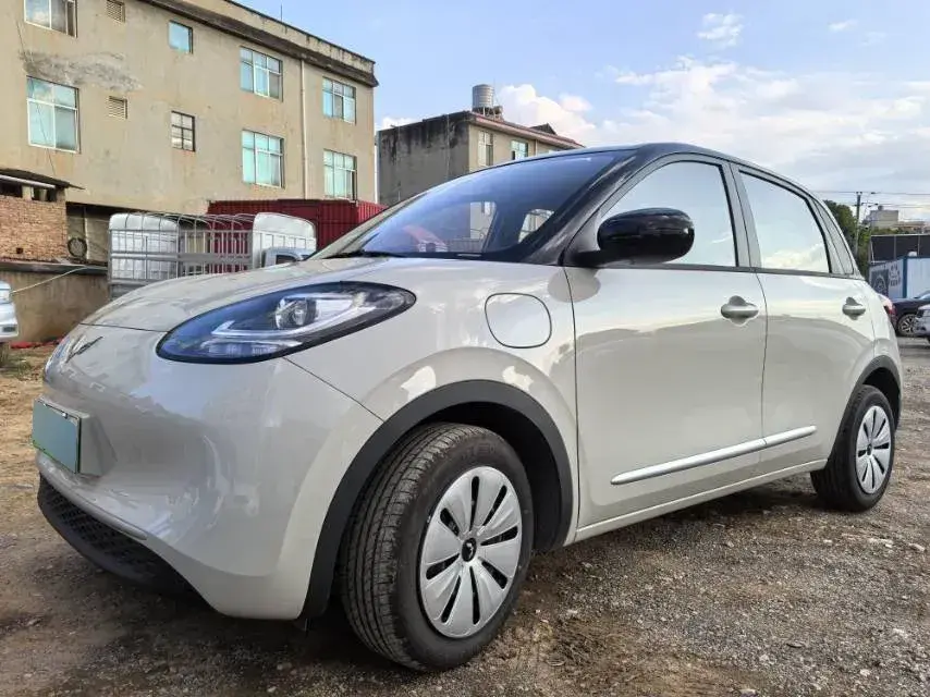 2024 WuLing BinGuo BEV 17.3KWH