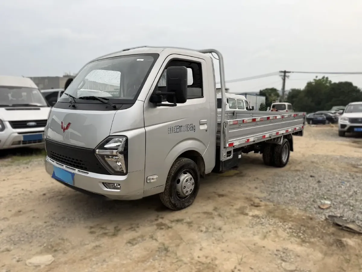 2023 WuLing Loong Truck 2.0L 136HP L4 5MT,autocango,china used car exporter,china ev exporter,chinese used car exporter,chinese used ev exporter