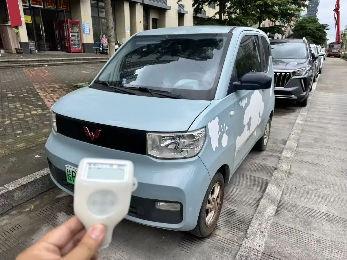 2022 WuLing HongGuang MINI EV BEV 9KWH