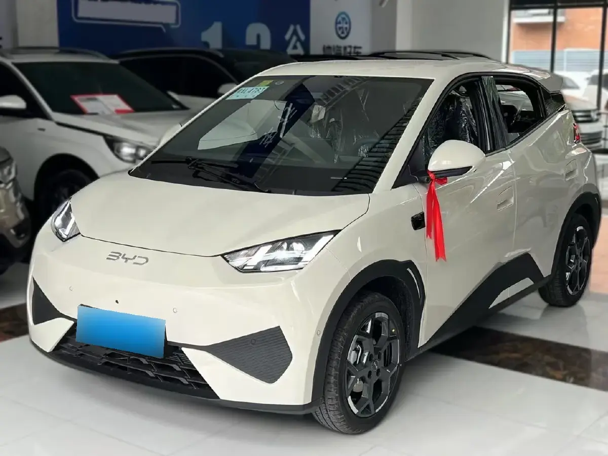 2025 BYD Seagull BEV 30.08KWH
