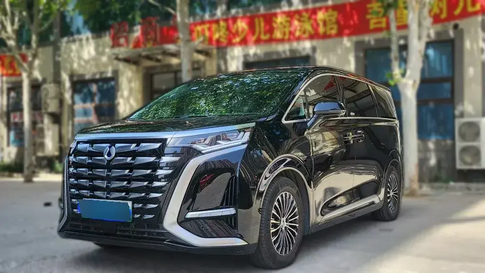 2022 Denza D9 1.5T 139HP L4 E-CVT PHEV 40.06KWH