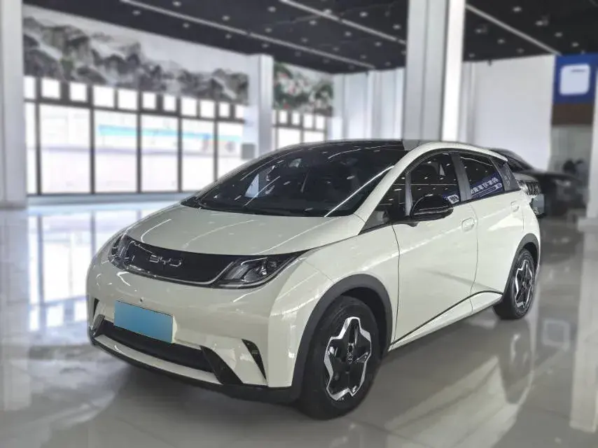 2021 BYD Dolphin BEV 44.9KWH
