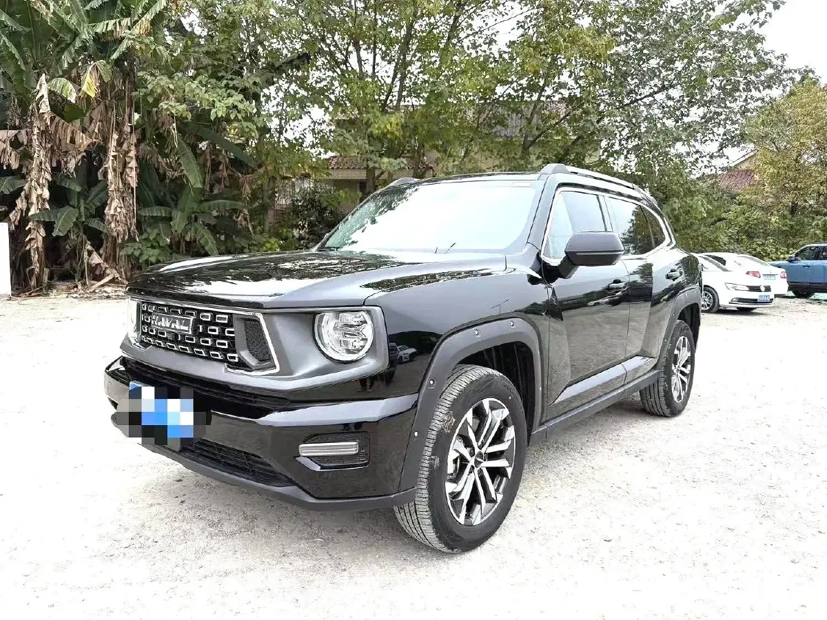 2023 Haval Dargo 2 2.0T 238HP L4 9DCT