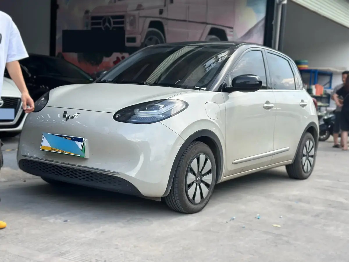 2023 WuLing BinGuo BEV 31.9KWH