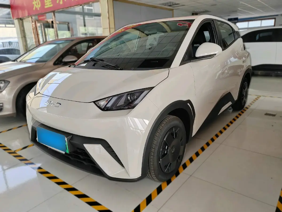 2025 BYD Seagull BEV 30.08KWH