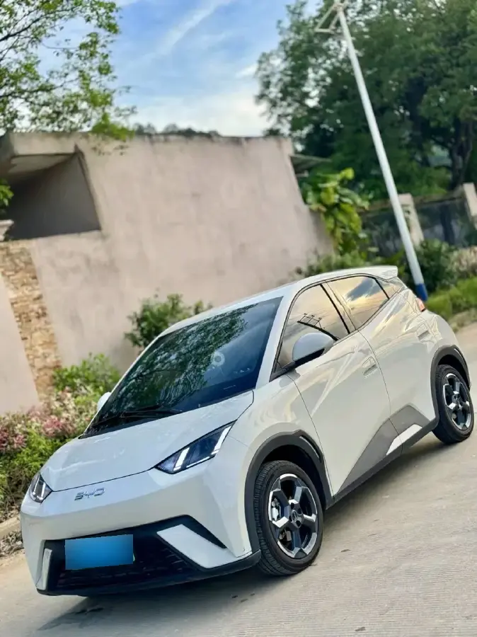 2024 BYD Seagull BEV 30.08KWH