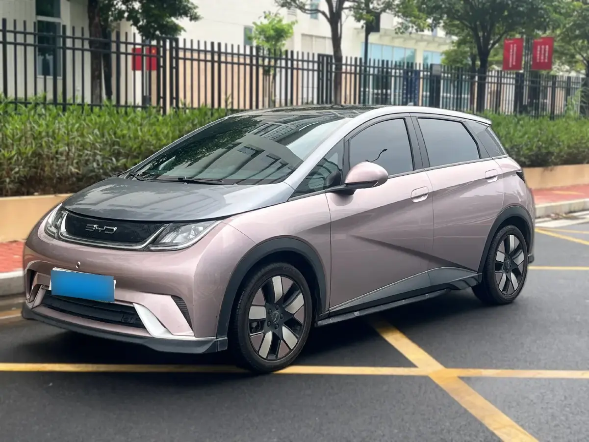 2021 BYD Dolphin BEV 44.9KWH
