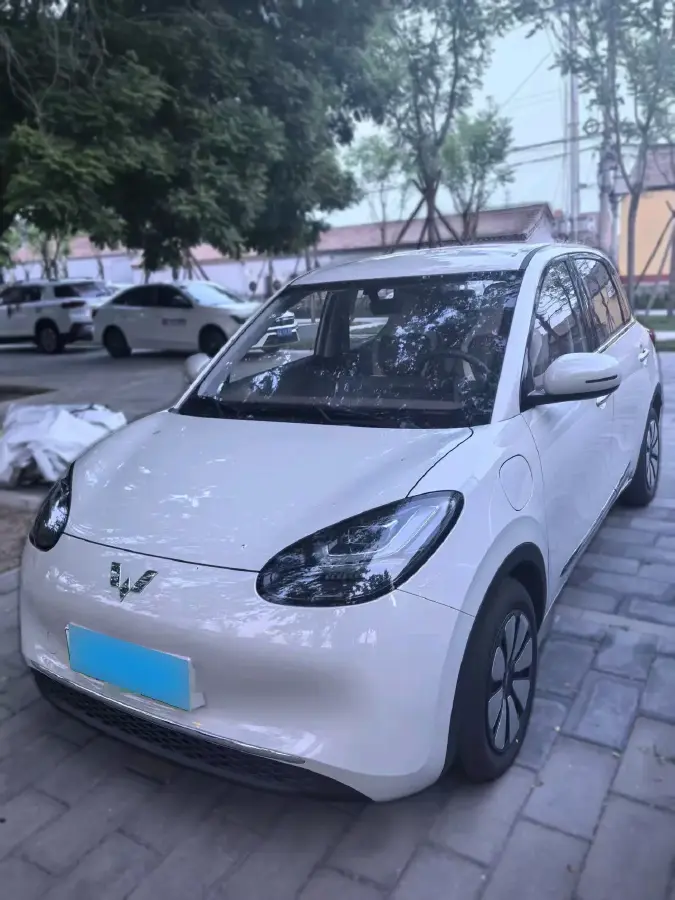 2023 WuLing BinGuo BEV 31.9KWH