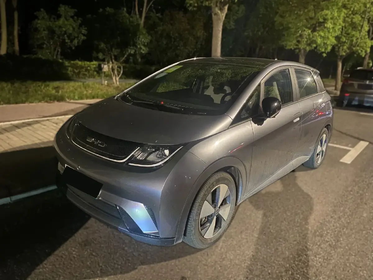 2023 BYD Dolphin BEV 44.928KWH