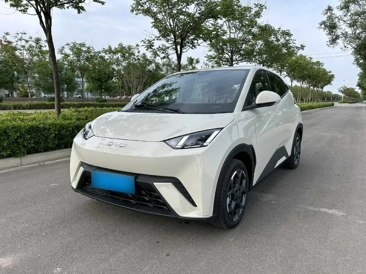 2025 BYD Seagull BEV 30.08KWH
