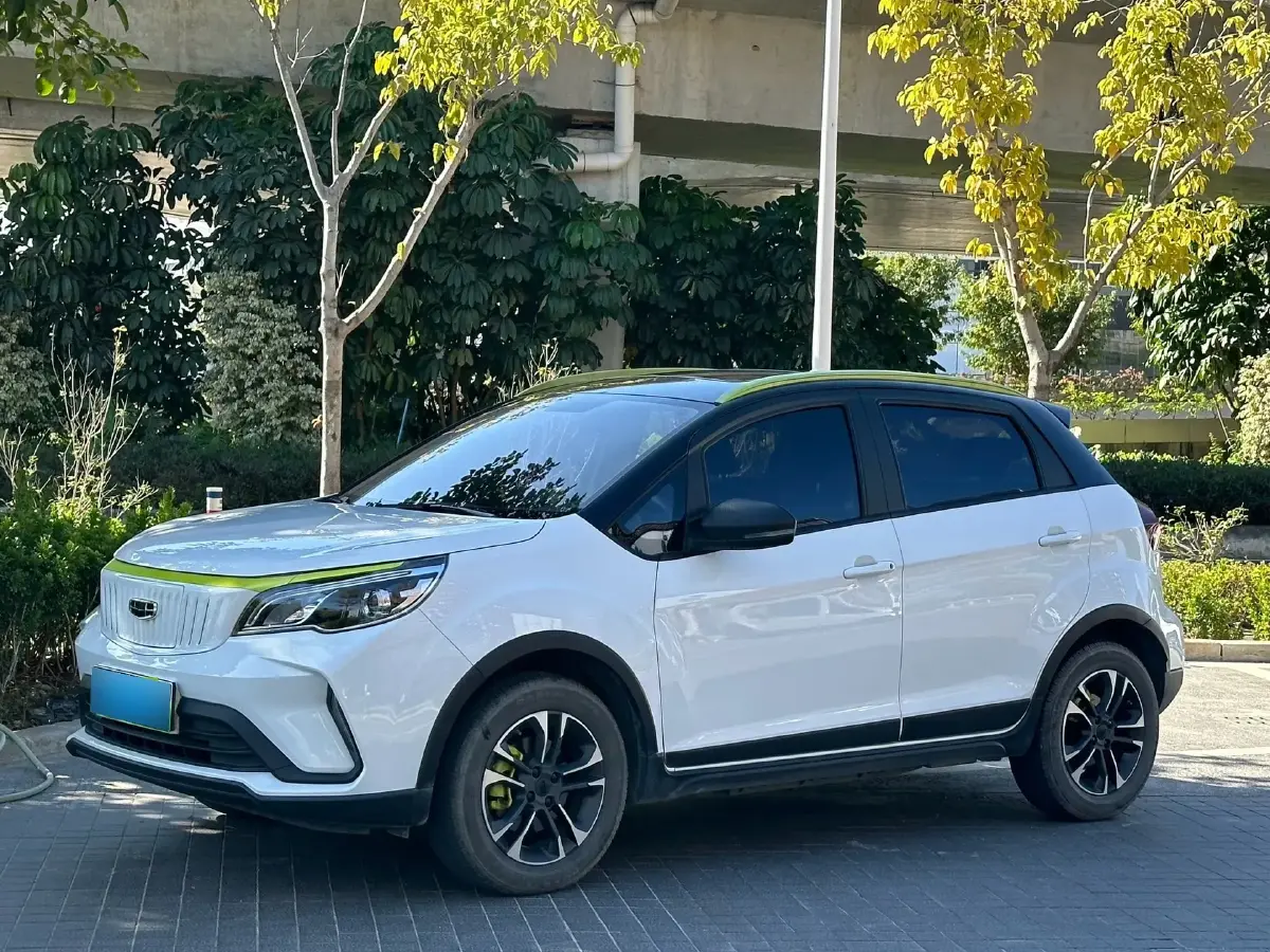 2021 Geometry EX3 BEV 37.23KWH