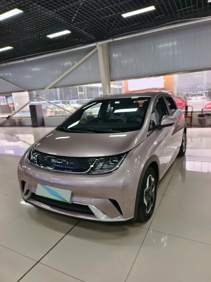 2021 BYD Dolphin BEV 44.9KWH