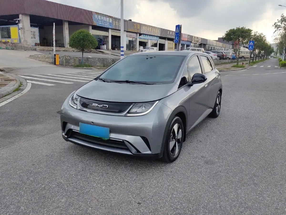 2023 BYD Dolphin BEV 44.928KWH