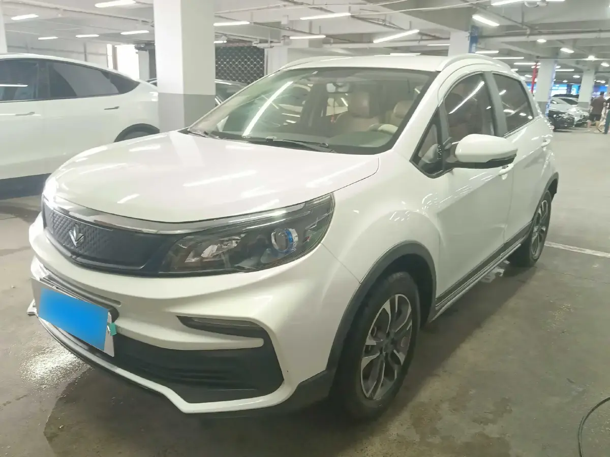 2020 Livan Maple 30X BEV 37KWH