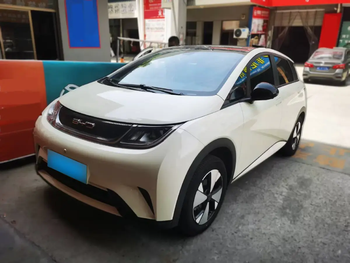 2023 BYD Dolphin BEV 44.928KWH