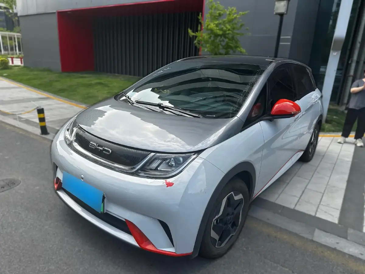 2021 BYD Dolphin BEV 44.9KWH